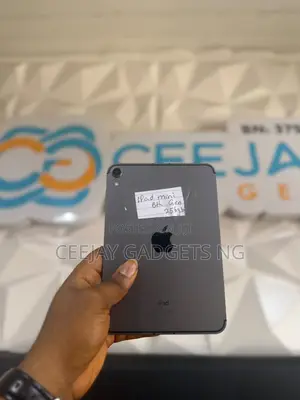 Apple iPad mini 6 256 GB Gray