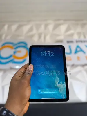 Apple iPad mini 6 256 GB Gray
