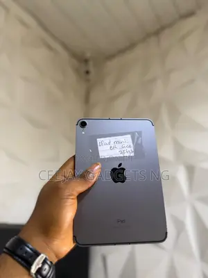 Apple iPad mini 6 256 GB Silver