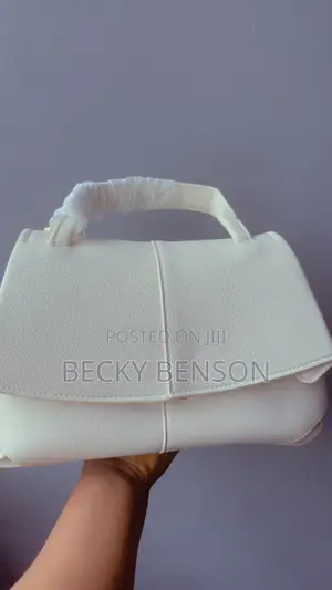 Ladies Hand Bag