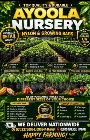 Ayoola Nursery Nylon and Growing Bags.