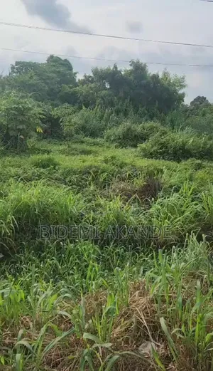 3 Acres Facing Lagos–ibadan Expressway | C of O |