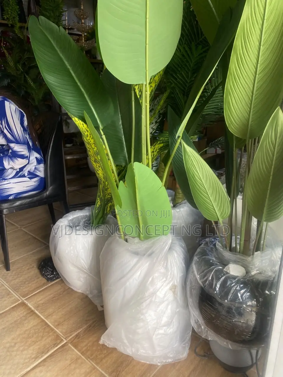 Flawers for Home Decoration