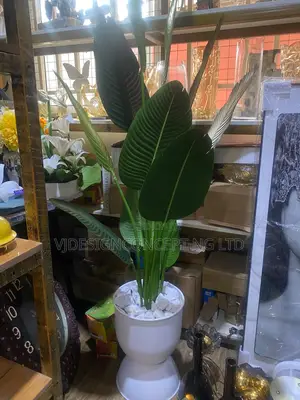 Flawers for Home Decoration