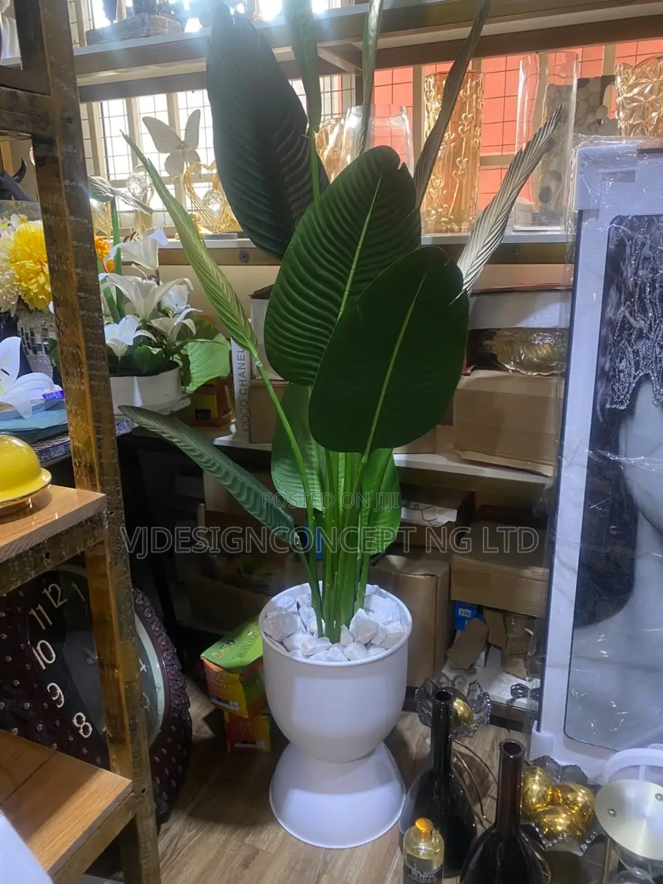 Flawers for Home Decoration