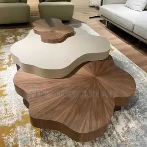 Well Crafted Star Center Table and Parametric Shelve