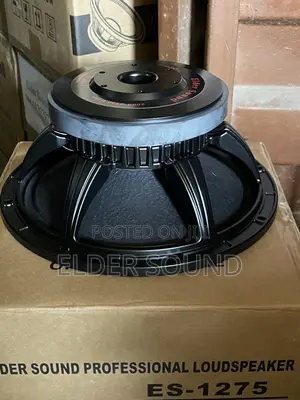 12 Inches Naked Speaker ( Line Array)