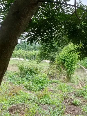 2 Acres of Farm Land for Sale