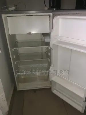 Scanfrost Fridge