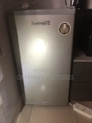 Scanfrost Fridge