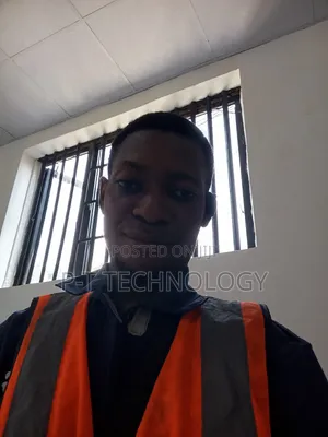 Professional Technical Engineer