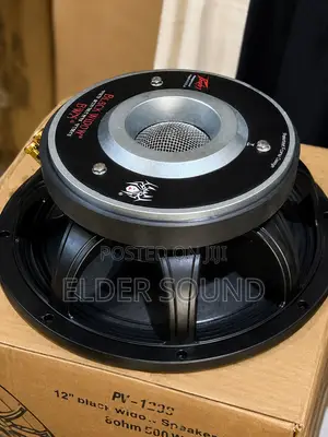 Line Array 12 Inches Speaker (100 Coil)