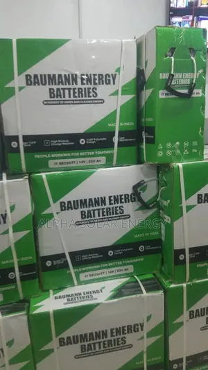 220ah 12v Baumann Energy Solar Battery