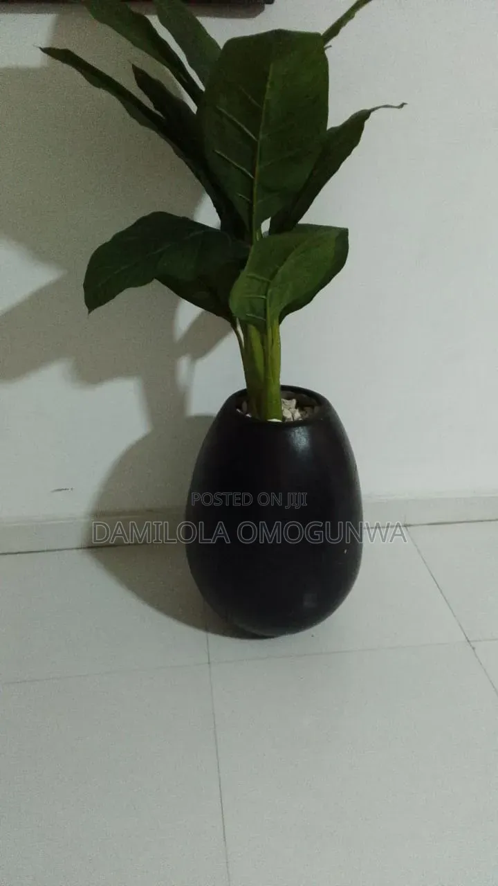 Flower Pot