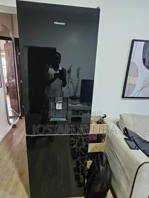 Hisense 305L Fridge