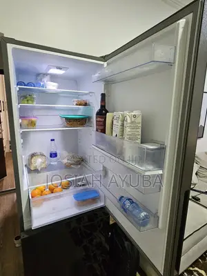 Hisense 305L Fridge