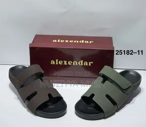 Men’s Premium Slip-on Shoes