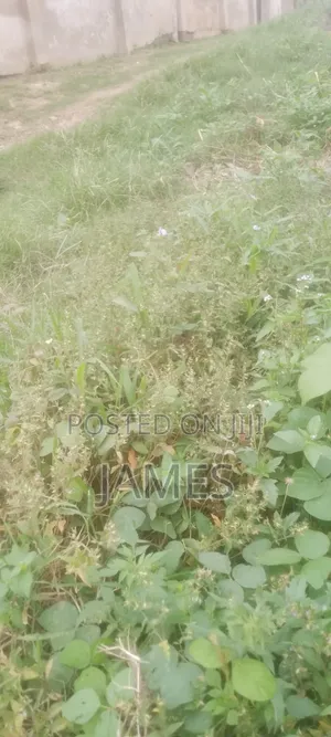 6plot of Land