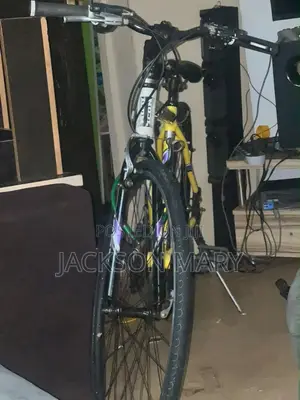 Adult Bicycle