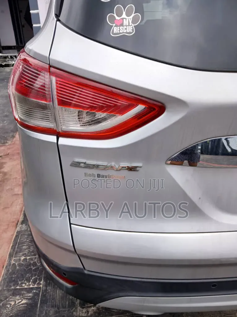 Ford Escape 2014 Silver
