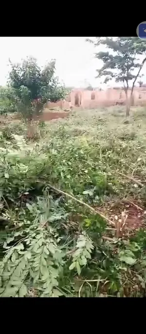 Land for Sell