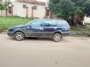 Volkswagen Golf 1999 Blue