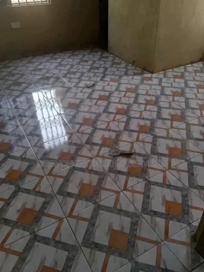 Professional Expert Tiler Ibadan