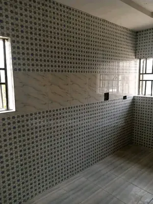 Professional Expert Tiler Ibadan