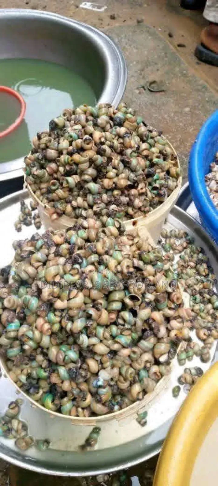 Seafood Combo