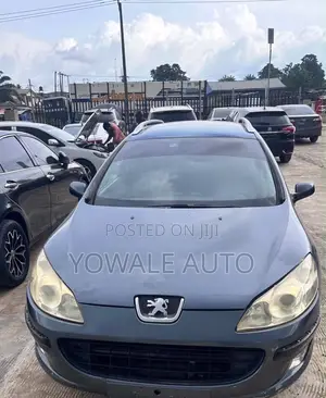 Peugeot 407 1.8 SW 115 2006 Gray