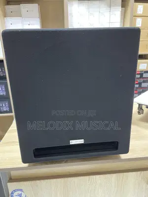 Lucky Tone 12 Inches Active Subwoofer