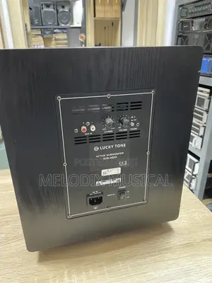 Lucky Tone 12 Inches Active Subwoofer
