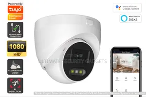 Wifi Tuya Smart HD Dome Camera