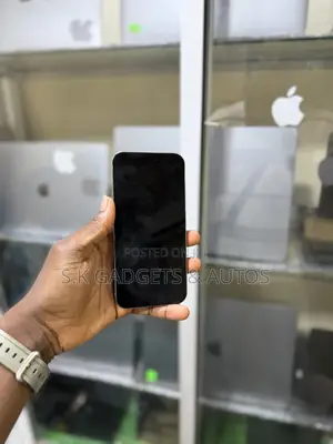 Apple iPhone 15 Pro Max 256 GB Silver