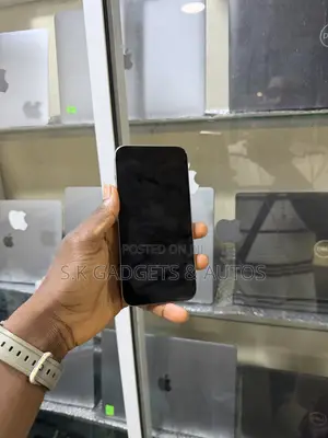 Apple iPhone 15 Pro Max 256 GB Silver