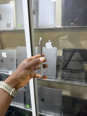 Apple iPhone 15 Pro Max 256 GB Silver