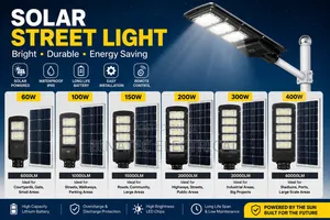 Solar Street Light
