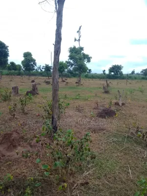 100 Acres of Fertile Farmland Available at Panu Village, Komu Igbojaye