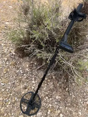Metal/Gold Detector