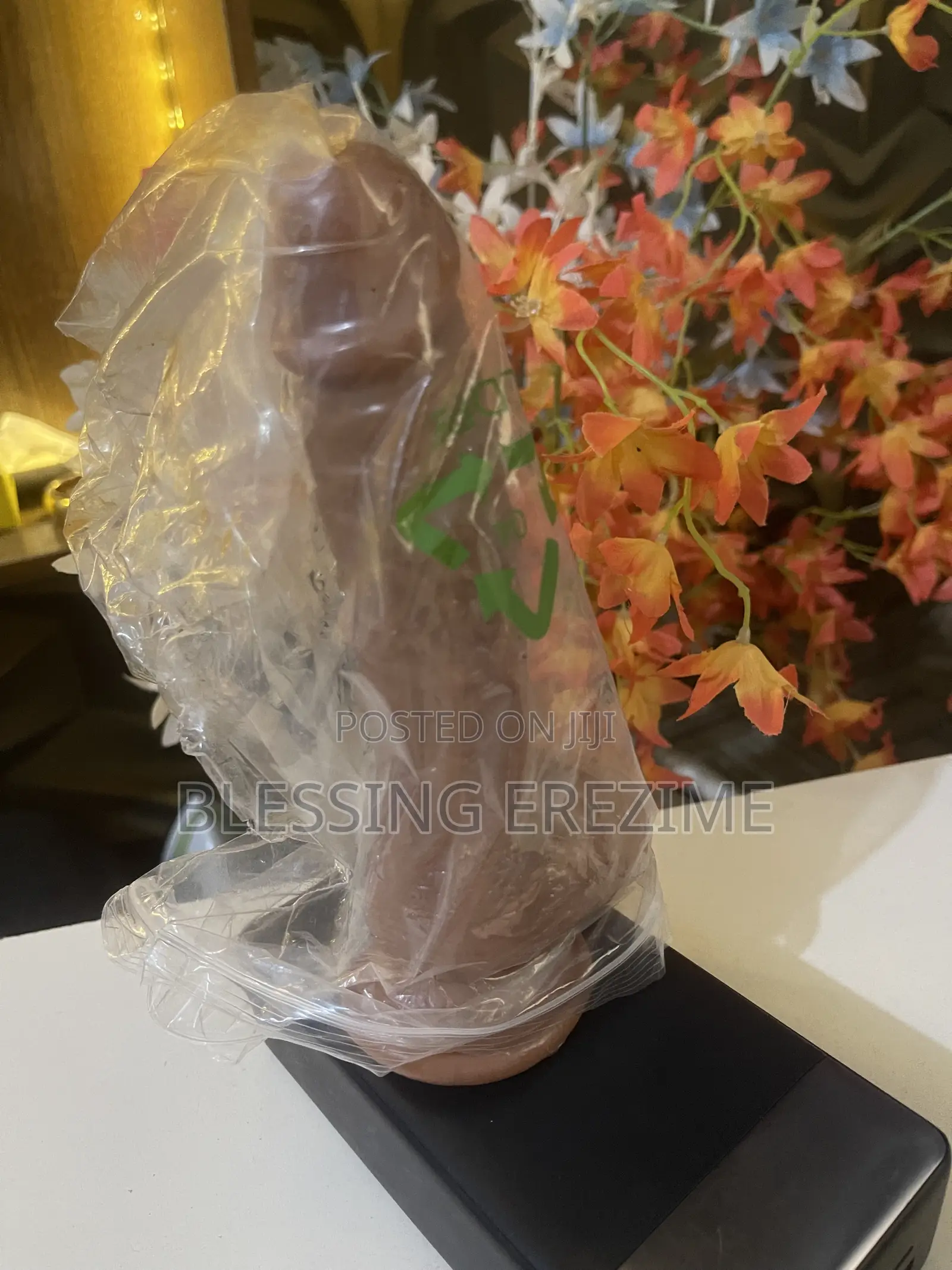 Soft Dick Dildo