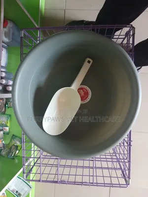 Cat Litter Box