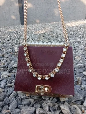 Transparent, Leather and Beaded Bag