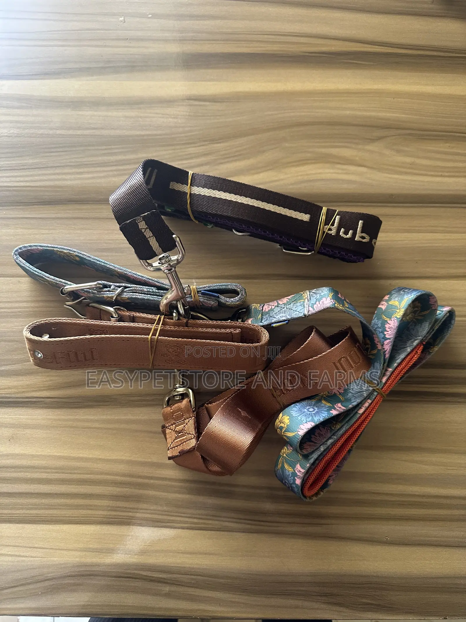 Pet Leash and Belt