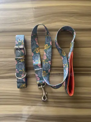 Pet Leash and Belt