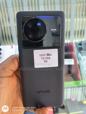 Vivo X80 256 GB Black