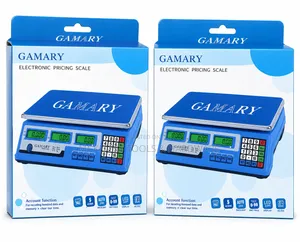Commercial 40kg Electronic Pricing Scale (Rechargeable Battery)