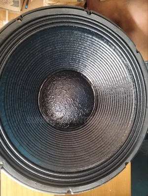 18inches Speaker Single Magnet 125 Coil in and Out Coil