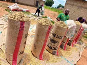 Clean Egusi in Bags Available