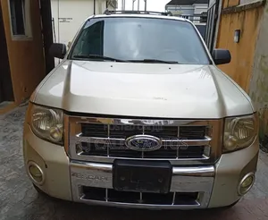 Ford Escape 2010 Gold