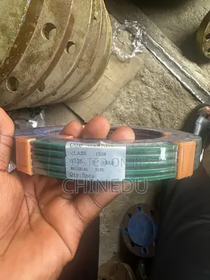 Spiral Wound Gasket With Outer Ring 5”-150 316L
